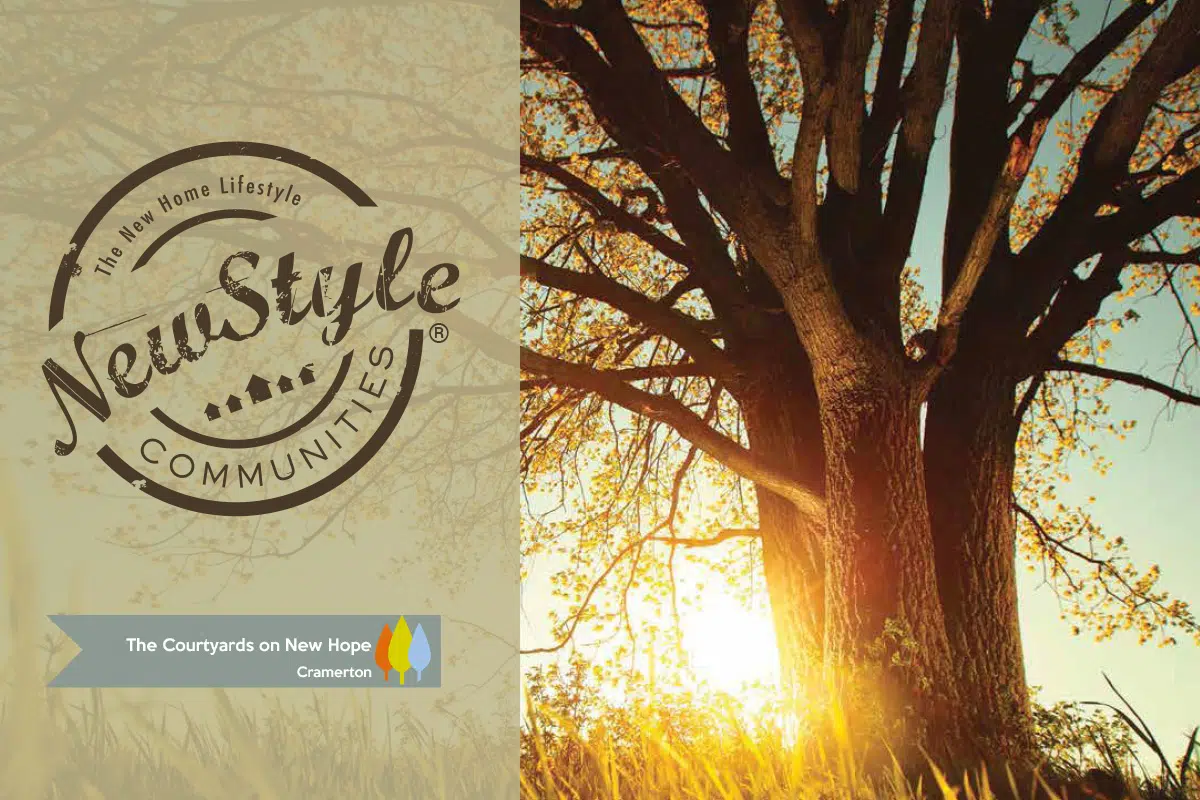 NewStyle Communities New Hope Brochure Thumbnail